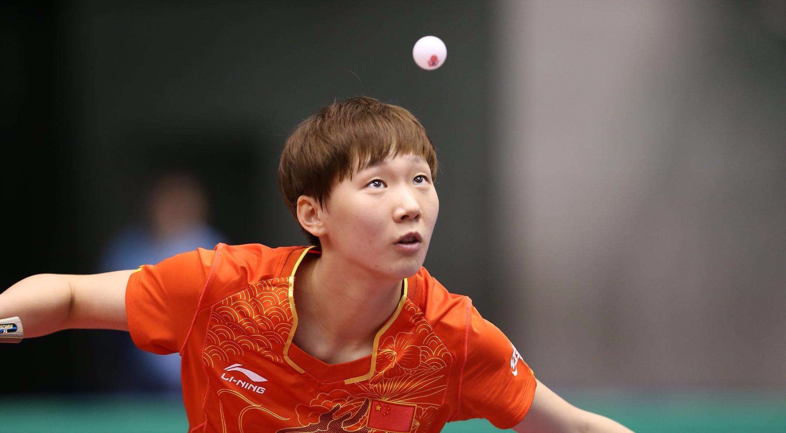 字母哥展现 字母哥展现